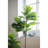60'' Faux Fiddle Leaf Fig Tree in Pot