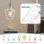 Luminaire suspendu simple à 1 lumière avec abat-jour en verre brandy inversé Tromblement-27434478
