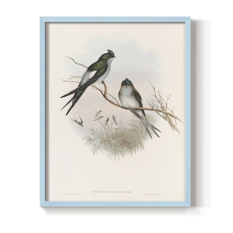 Imprimé animalier rétro X, reproduction encadrée - bois massif, H 11 po x l 9 po, Bleu