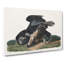 Black Vultures - Wrapped Canvas Painting-55370869