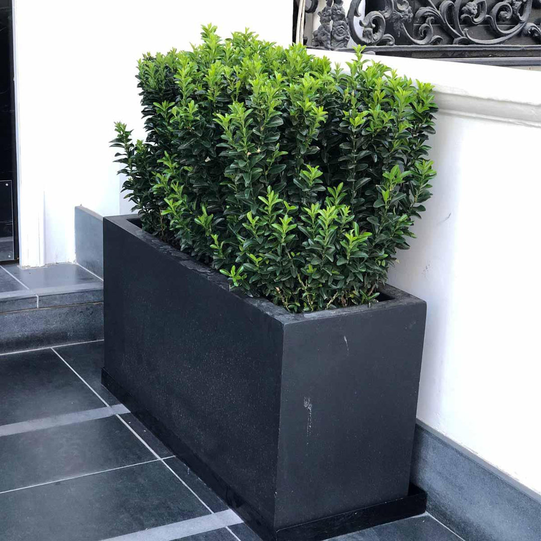 Frostproof, Concrete Effect Garden Planter Pot with Drainage Holes