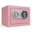 Security Safe Lock-89256988