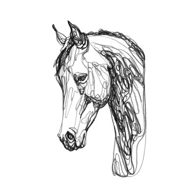 Equine Shape II by Emma Scarvey - Drawing