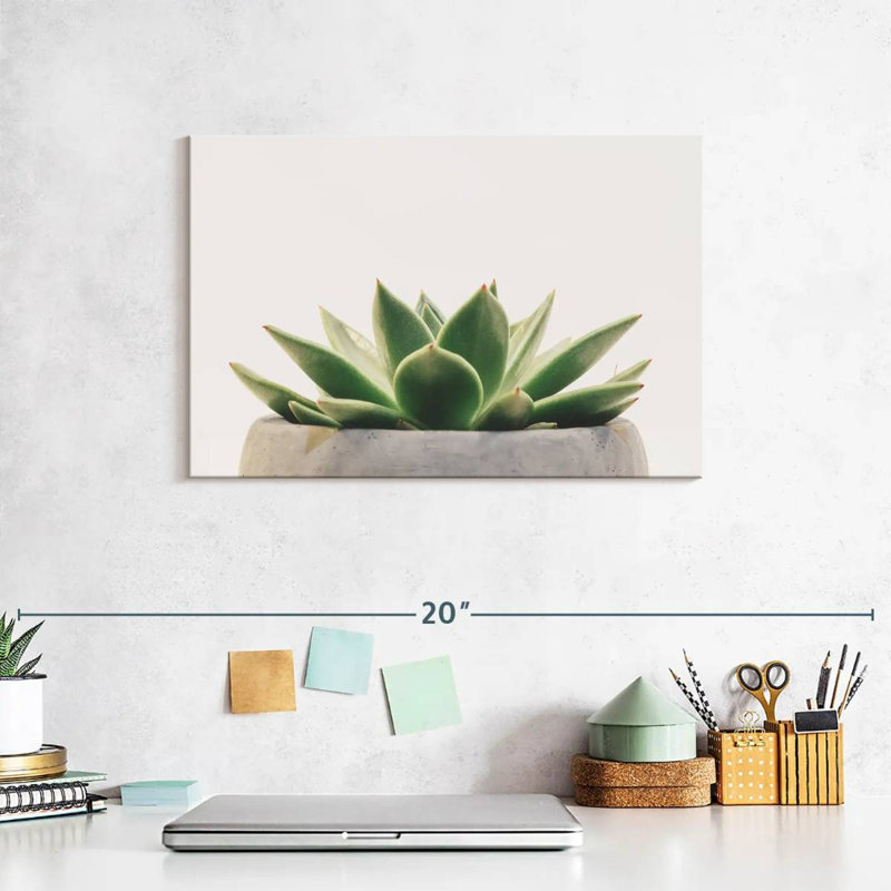Harnek Stone Pot Succulent, 8" H x 12" W
