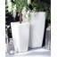 Beauen Pot Planter