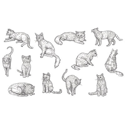 Murale pelez et collez de qualité supérieure - Croquis de chat