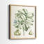 Reproduction encadrée de qualité supérieure Buchoz Tropicals IX - prête à être accrochée-1819990586-1819990528