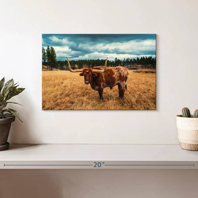 Brampt Texas Longhorn At Custer Park, 8" H x 12" W