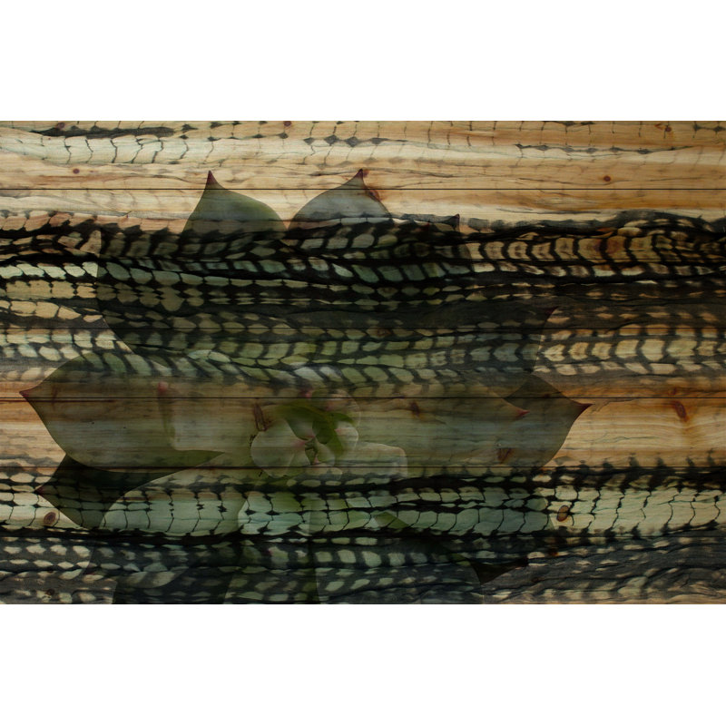 « graine fleur » par parvez taj,, reproduction d’art sur bois de pin naturel, H 40 po x l 60 po x P 1,5 po