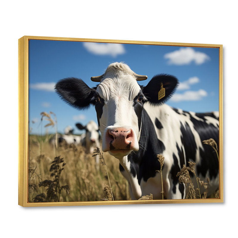 Cow Majestic II - Animals Canvas Prints, H 30 po x l 40 po x P 1,5 po, Cadre flottant doré