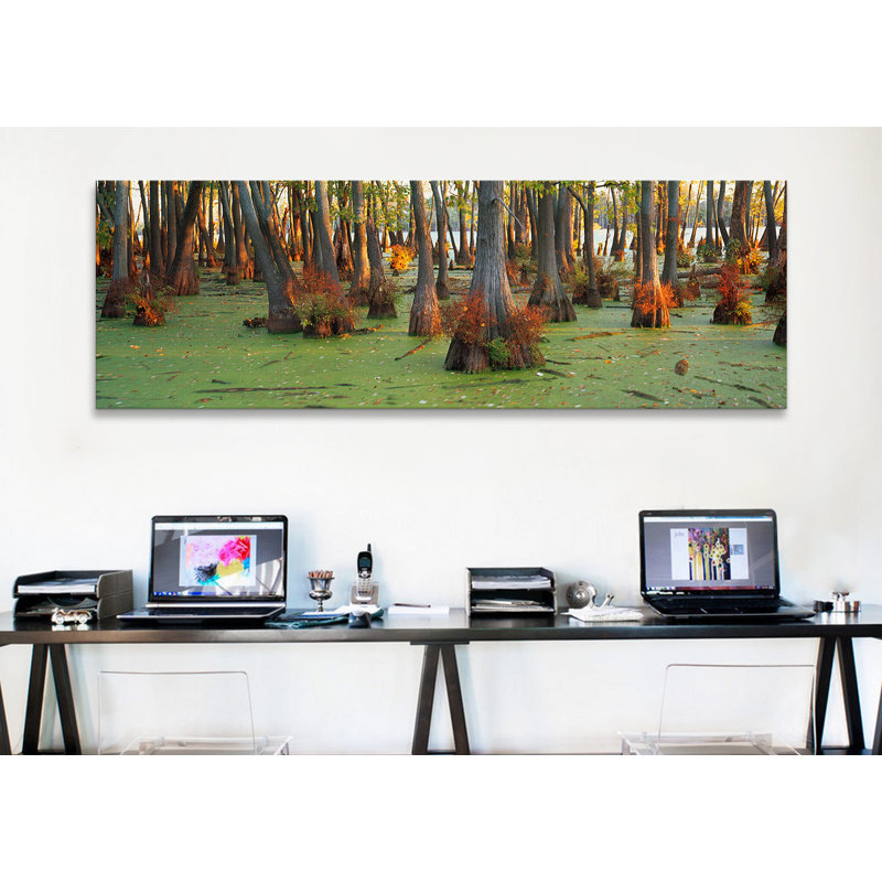 «Panorama Bald Cypress Trees (Taxodium Disitchum) in a Forest, Illinois, USA» par Panoramic Images - reproduction de photo sur toile tendue