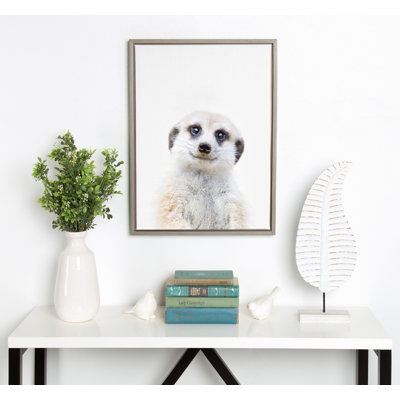 Reproduction d'art sur toile encadrée, "Animal Studio Mekerat" par Amy Peterson