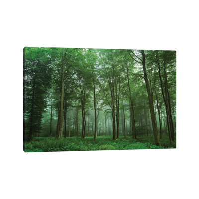 Forest View by Leif Londal - Wrapped Canvas Print