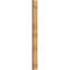 TimberCraft 5 3/8 "planches jointes à panneaux n-batten, cèdre rouge de l'Ouest (par paire)-36421074-36421019
