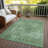 Isadorae Green Washable Indoor-Outdoor Rug - LOOMLAN-622087846
