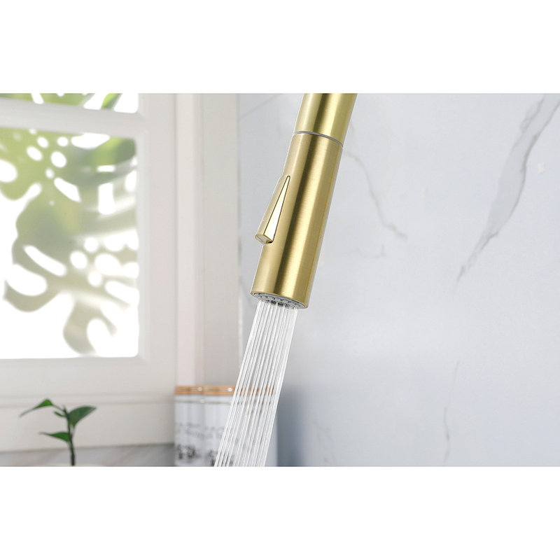 Kitchen Faucet With Pull Down Sprayer