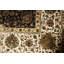 Oriental Area Rug