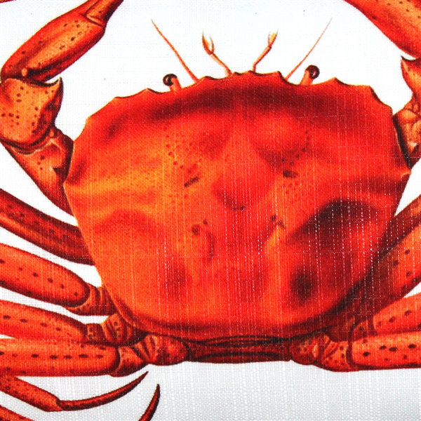 Finley Crab Indoor/Outdoor Throw Pillow Highland Dunes