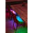 Plug-in String Lights String Light-69502010