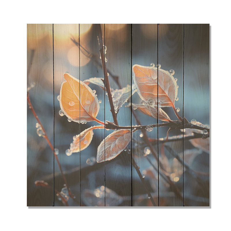 «Frosted Leaves Winter Serenade I» - fruits sur bois, H 36 po x l 36 po