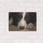 «Border Collie Love» par John Silver-1730437599
