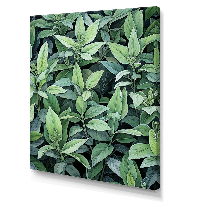 «Green Wise Sage - Floral Herbs», art mural, Toile tendue, H 20 po x l 12 po x P 1 po