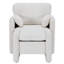 Upholstered Chenille Accent Chair-250095081