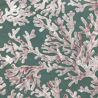 Scuba Fabric