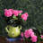 17.5" Artificial Polyester Geranium Bush-504150662