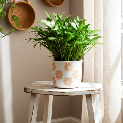  6" Flower Power Planter