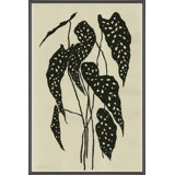 Begonia Giclee Print by Susan Hable