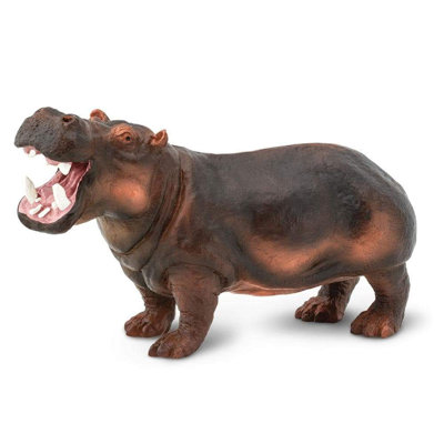 Hippopotame