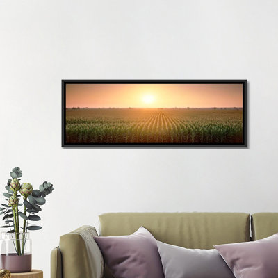 " View Of The Corn Field During Sunrise, Sacramento County, California, USA " by Panoramic Images