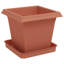 Planter-1849224911-1849224915-1849224924