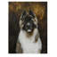 « american akita », reproduction de peinture à l’acrylique sur toile tendue-33536393