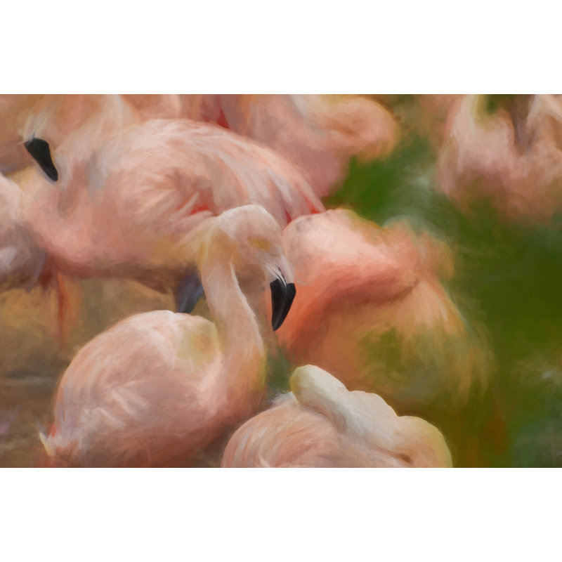 Swainswick Digital Painting Of Flamingo - Wrapped Canvas Print, 30cm H x 46cm W x 3.8cm D