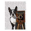 « boston terrier photographe », reproduction d’impression sur toile tendue-1474586036