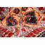 Aryana Wool Oriental Area Rug