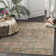 Beausejour Viscose Ikat Rug in Brown/Gray