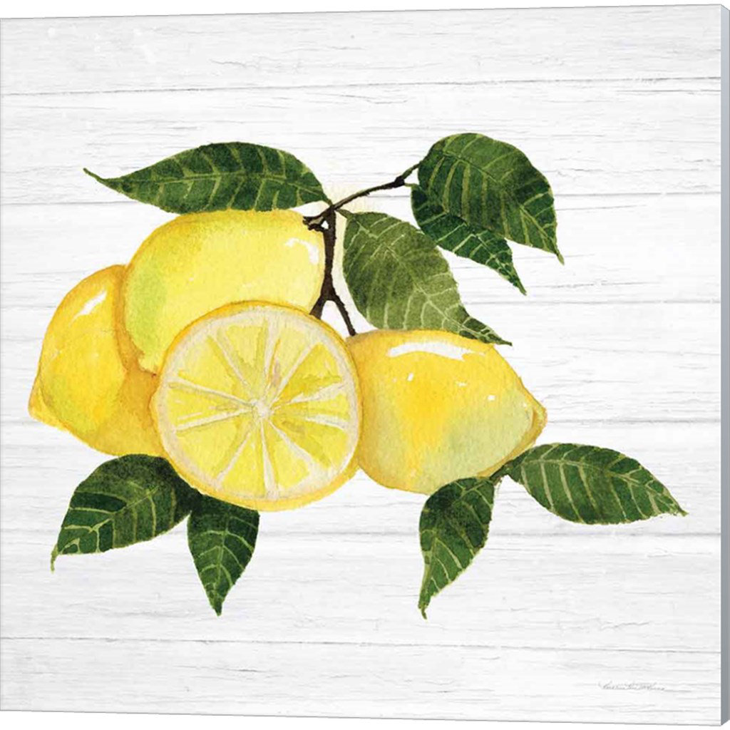 Rosalind Wheeler Citrus Garden Shiplap A By Kathleen Parr Mckenna ...
