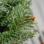 PUZZELWOOD FIR - 26 Inch Wreath with 50 8 Function Lights