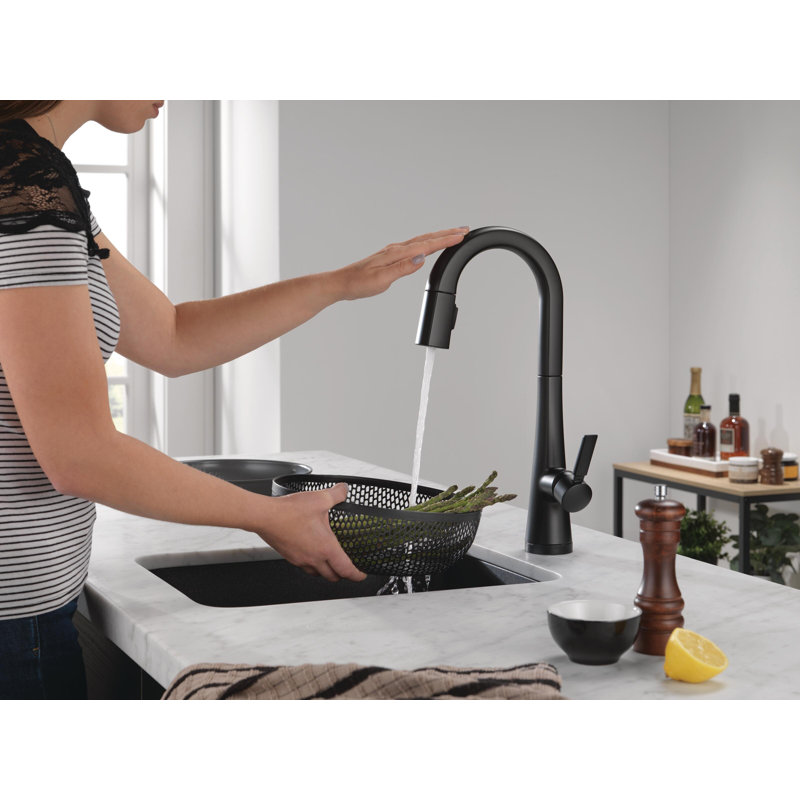  Monrovia Touch Kitchen Faucet with Pull Down Sprayer, Matte Black