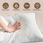 Oreiller de soutien moelleux en duvet et plumes d'oie Freman (lot de 2)-296898497-300909362