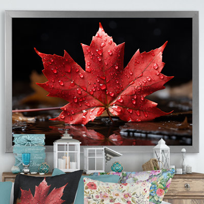 Canada Canada Pride III