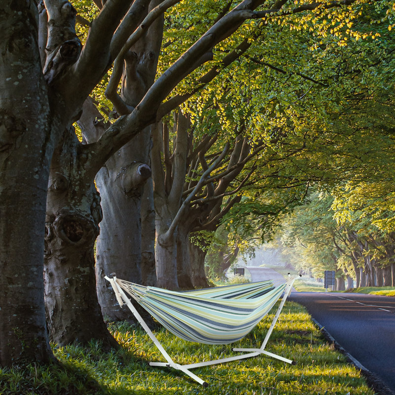 Abelina Double Spreader Bar Hammock with Stand, Green Colour