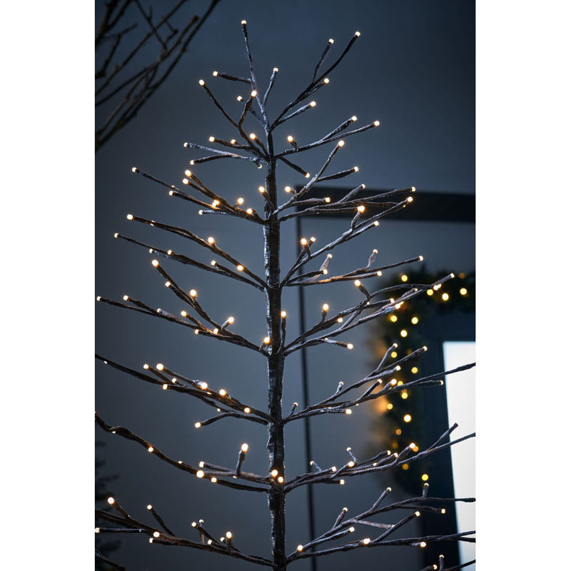 LED Twinkle Indoor / Outdoor Lighted Christmas Tree, 150.11cm H x 80.01cm W x 80.01cm D