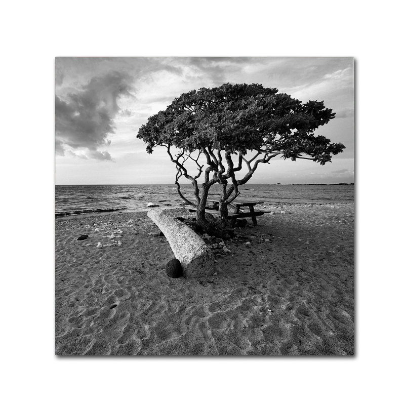 Black and White Hawaiian Tree Landscape Canvas Art