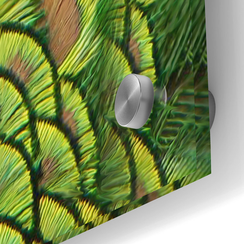 Art mural en verre Red Barrel Studio® «Peacock Face Bf» par Carol Cavalaris, H 36 po x l 24 po