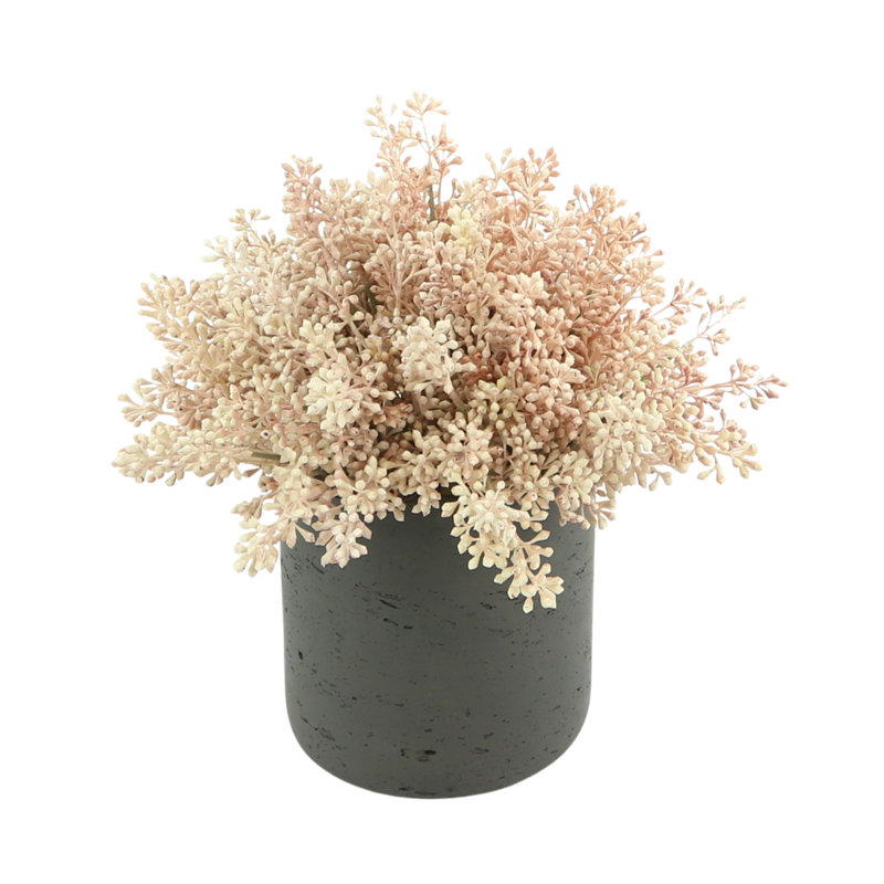 Eucalyptus Arrangement in Pot