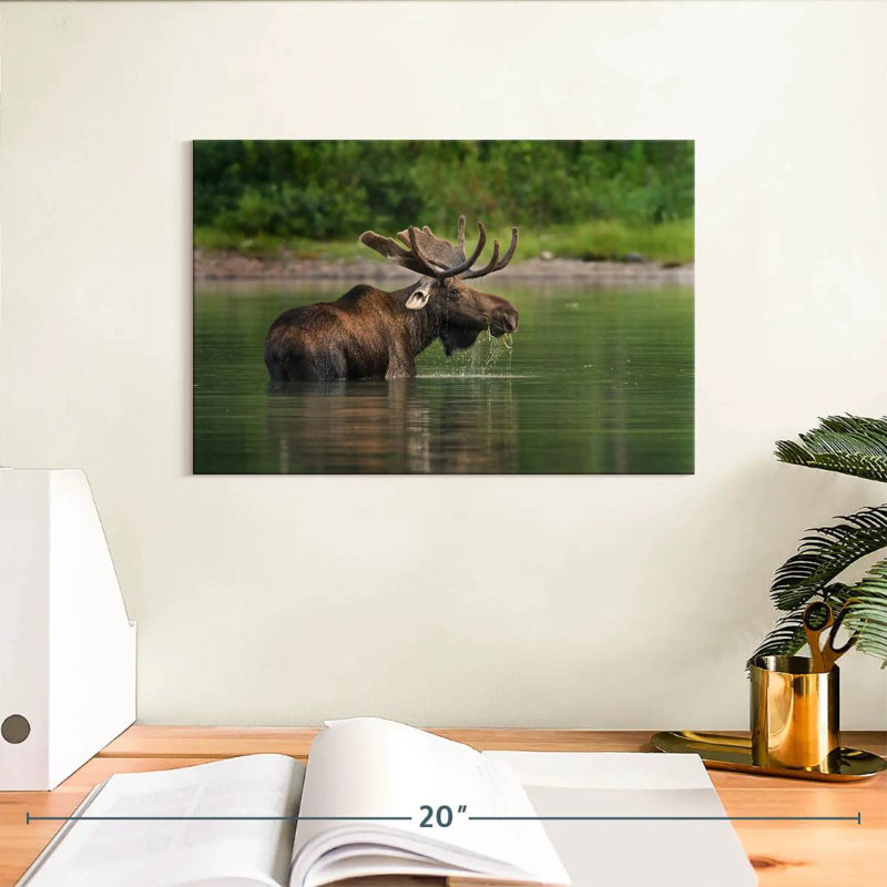Fishercap Lake Moose, 8" H x 12" W